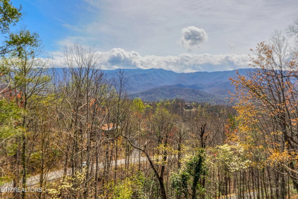 Photo of 647 Sunshine Trail Trl, Gatlinburg, TN 37738 (MLS # 1296253)