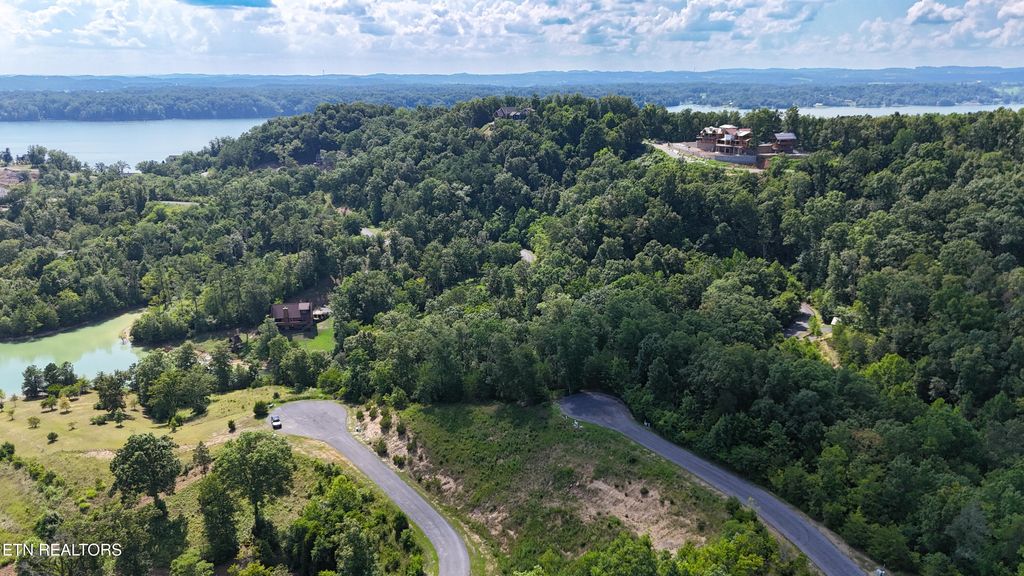 Photo of 9 Stone Cove Way, Dandridge, TN 37725 (MLS # 1314706)