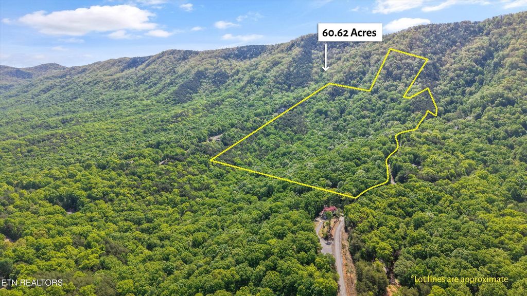 Photo of 7712 Chilhowee Tr, Maryville, TN 37803 (MLS # 1339507)