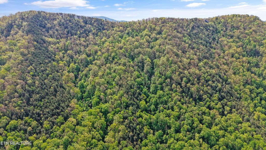 Photo of 7712 Chilhowee Tr, Maryville, TN 37803 (MLS # 1339507)