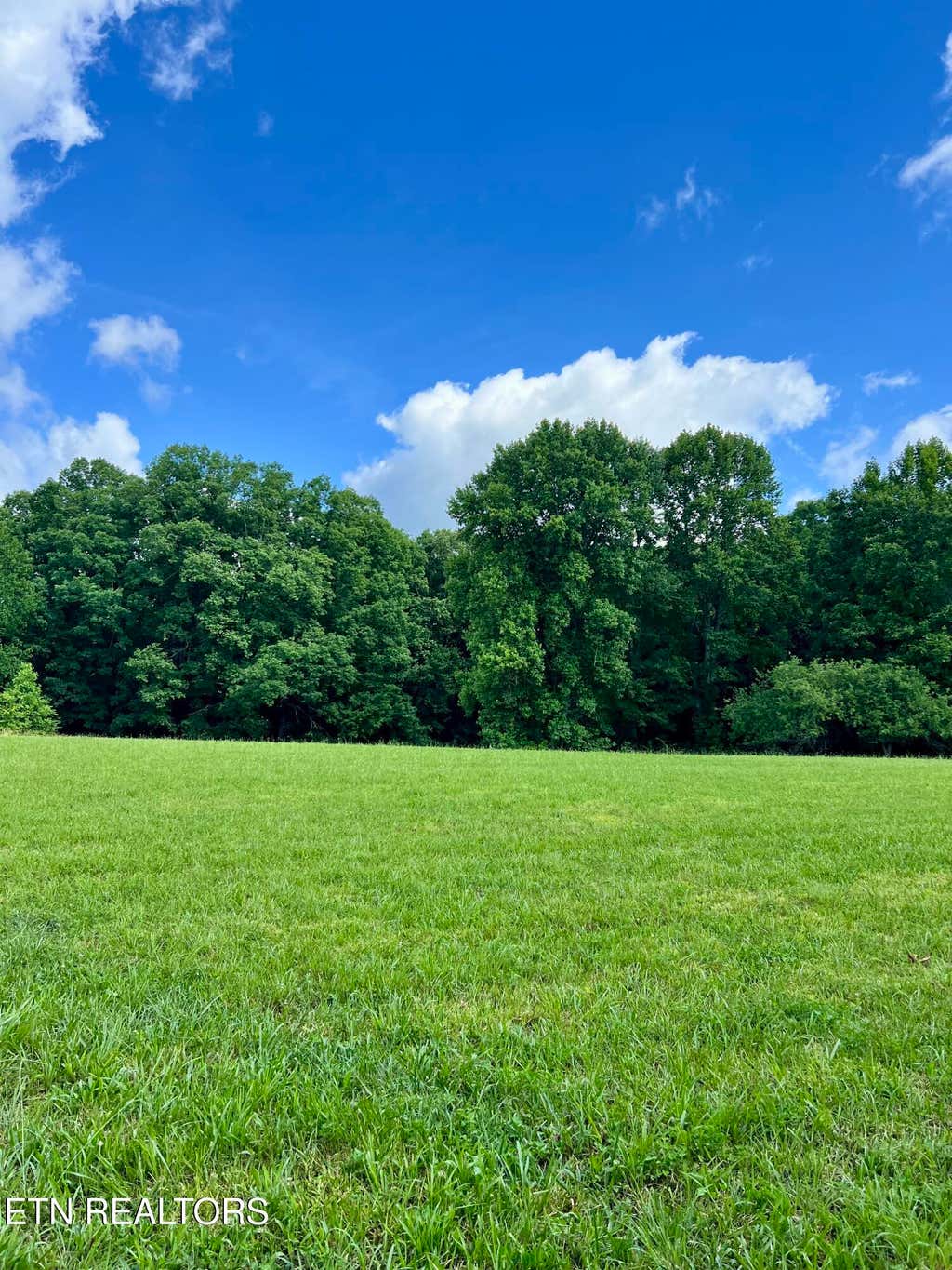 Photo of Eli Lane, Oneida, TN 37841 (MLS # 1345600)