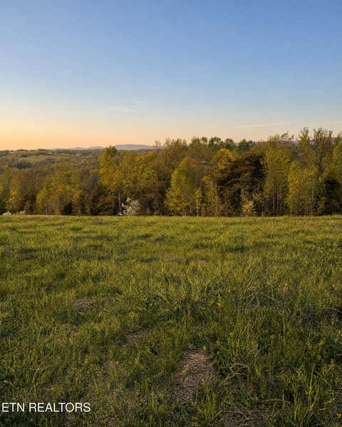 Tiny photo for Tanzanite Tr #124, New Tazewell, TN 37825 (MLS # 1349802)