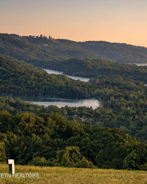 Tiny photo for Tanzanite Tr #124, New Tazewell, TN 37825 (MLS # 1349802)