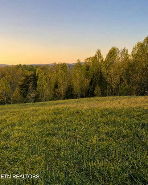 Tiny photo for Tanzanite Tr #124, New Tazewell, TN 37825 (MLS # 1349802)