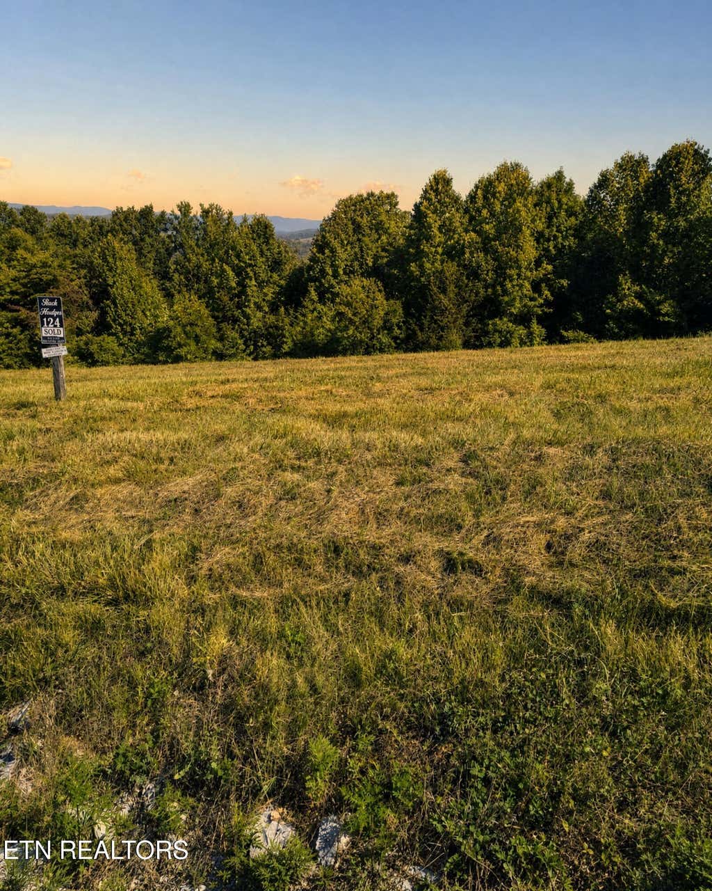 Photo of Tanzanite Tr #124, New Tazewell, TN 37825 (MLS # 1349802)