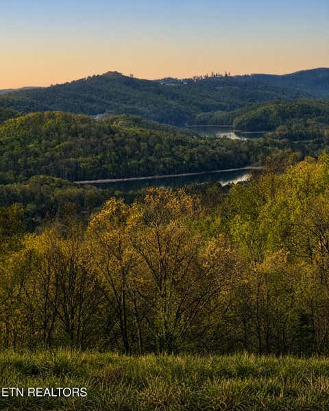 Tiny photo for Tanzanite Tr #124, New Tazewell, TN 37825 (MLS # 1349802)