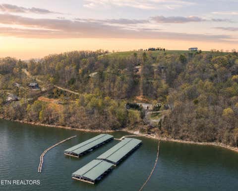 Tiny photo for Tanzanite Tr #124, New Tazewell, TN 37825 (MLS # 1349802)