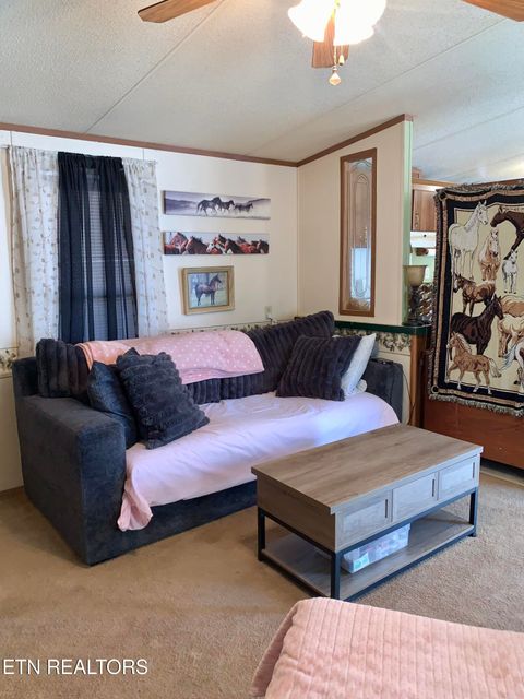 Tiny photo for 4200 Cottonport Rd, Decatur, TN 37322 (MLS # 1326035)