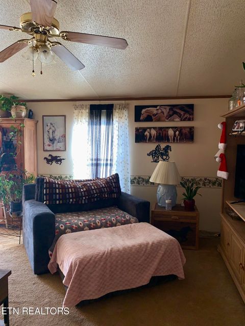 Tiny photo for 4200 Cottonport Rd, Decatur, TN 37322 (MLS # 1326035)