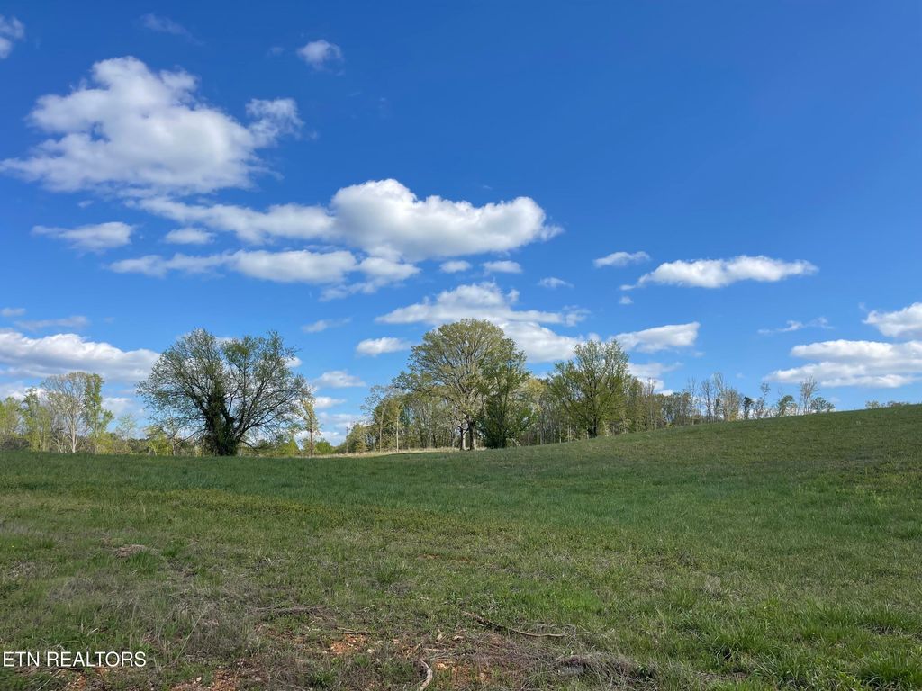 Photo of 3 Laura Boling Loop Rd, Strawberry Plains, TN 37871 (MLS # 1297320)