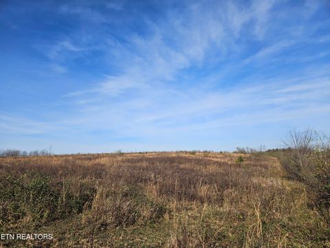 591 Glades Rd Sunbright TN 37872