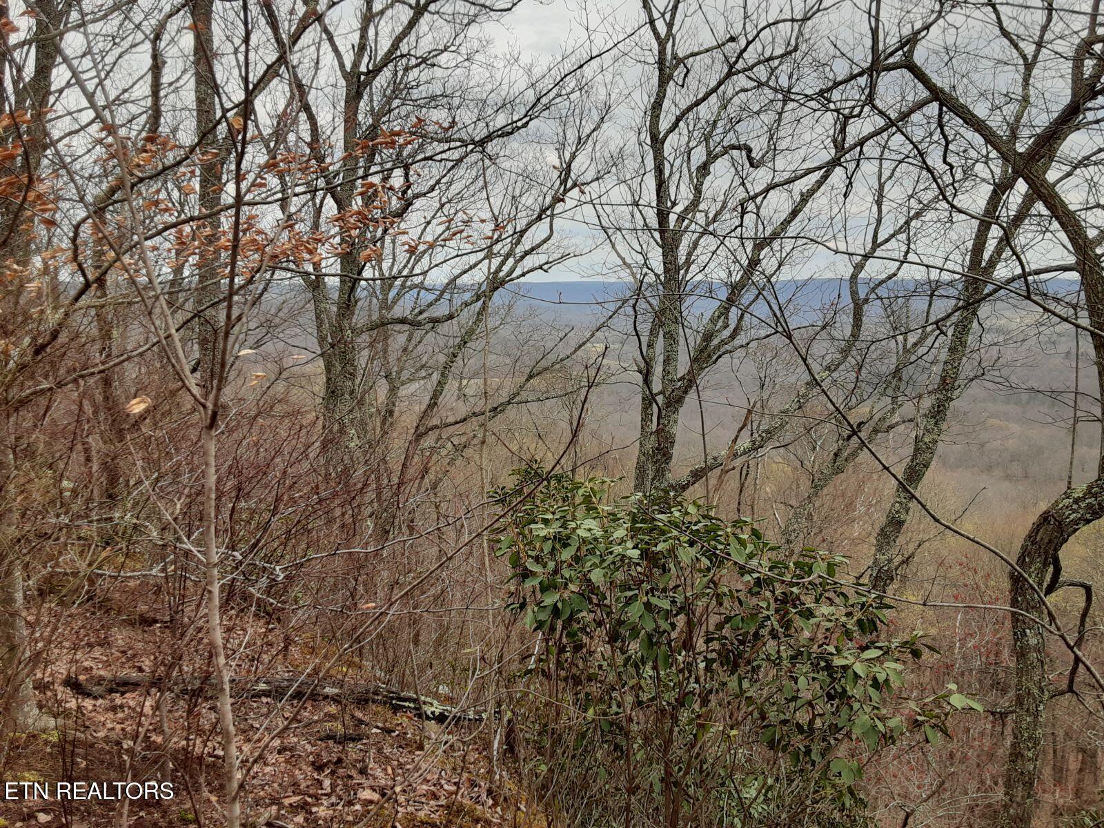 95.43 acre Sheep Bluff Rd