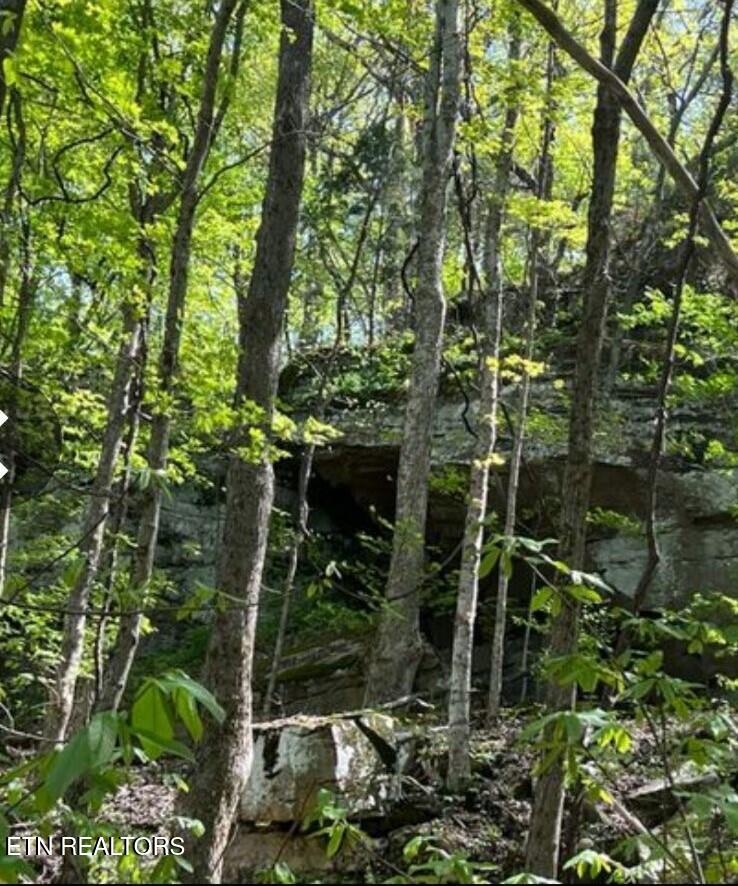 95.43 acre Sheep Bluff Rd