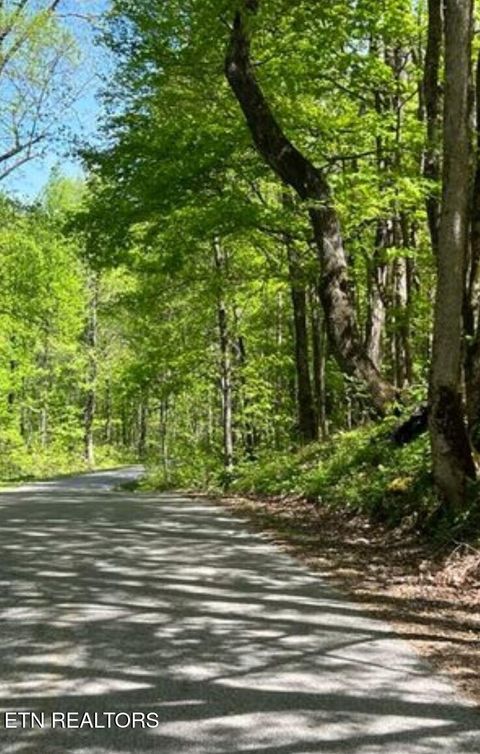 95.43 acre Sheep Bluff Rd Cookeville TN 38506