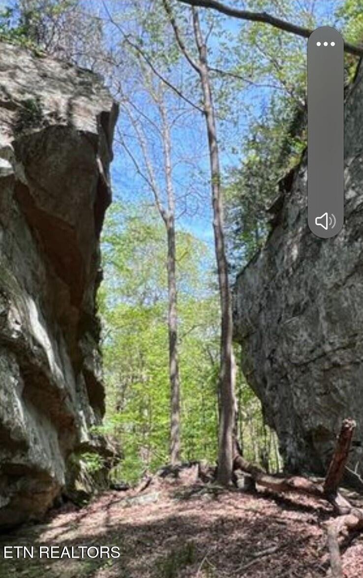 95.43 acre Sheep Bluff Rd