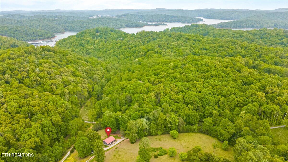 299 Tar Town Hollow Lane