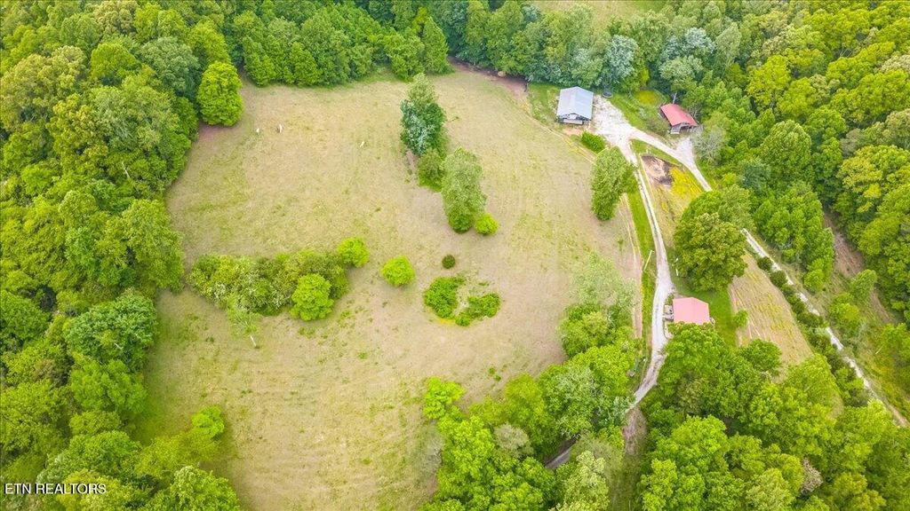 Photo of 299 Tar Town Hollow Lane, LaFollette, TN 37766 (MLS # 1332245)