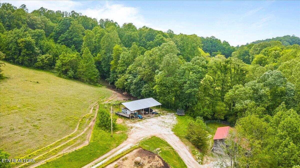 299 Tar Town Hollow Lane