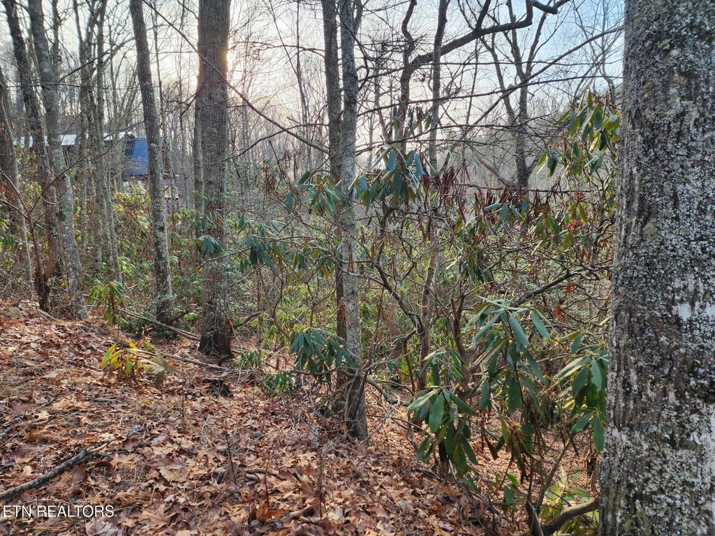 Photo of 3008 Overholt Trl Lot 8R Trl, Sevierville, TN 37862 (MLS # 1329270)