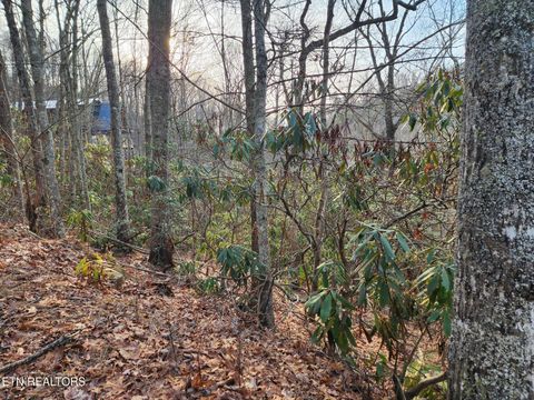 Tiny photo for 3008 Overholt Trl Lot 8R Trl, Sevierville, TN 37862 (MLS # 1329270)