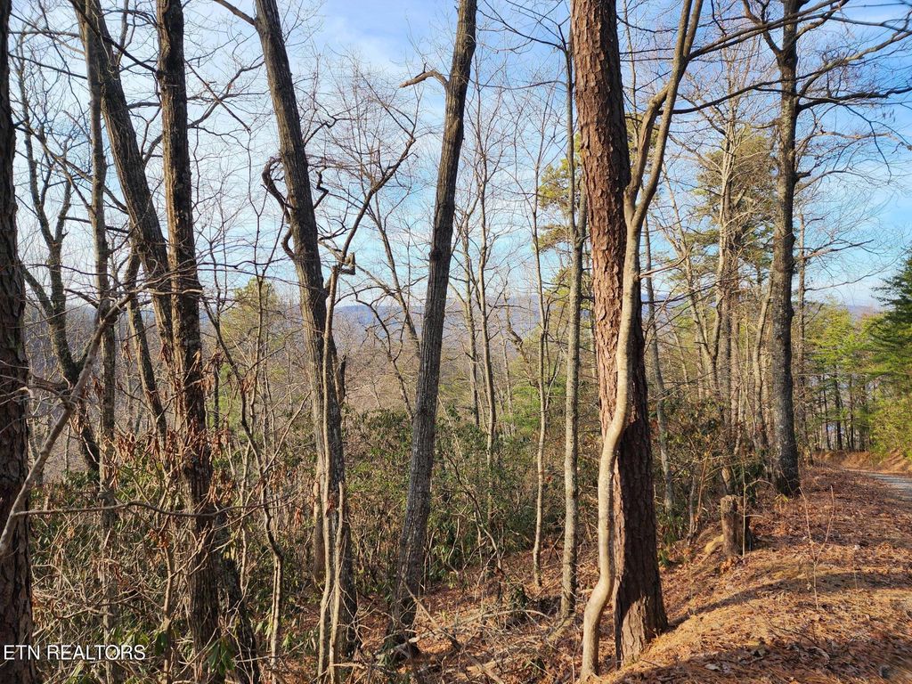 Photo of 3008 Overholt Trl Lot 8R Trl, Sevierville, TN 37862 (MLS # 1329270)