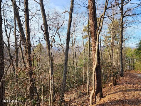 Photo of Overholt Trail Off Tr, Sevierville, TN 37862 (MLS # 1329270)