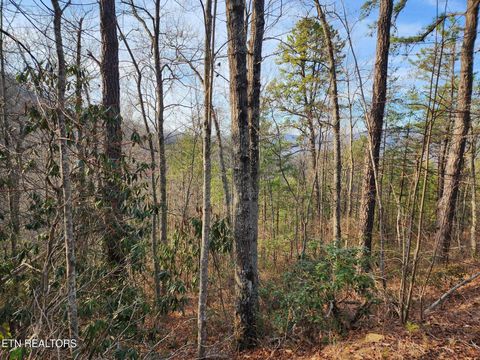 Tiny photo for 3008 Overholt Trl Lot 8R Trl, Sevierville, TN 37862 (MLS # 1329270)