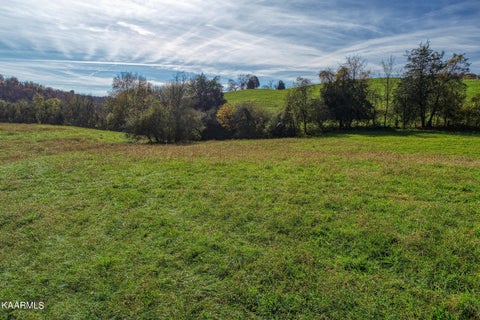 Tiny photo for 311 Ross Cemetery Rd, Rocky Top, TN 37769 (MLS # 1174100)