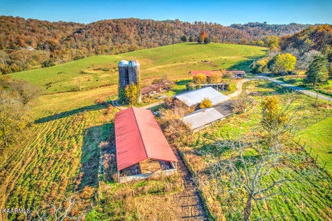 Tiny photo for 311 Ross Cemetery Rd, Rocky Top, TN 37769 (MLS # 1174100)