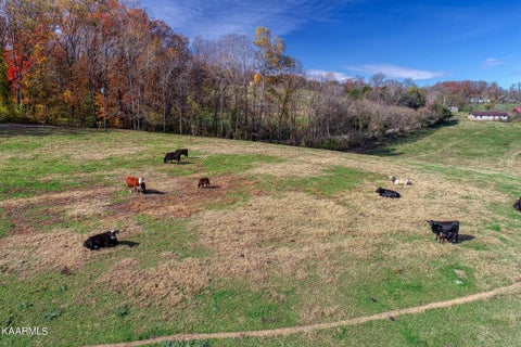 Tiny photo for 311 Ross Cemetery Rd, Rocky Top, TN 37769 (MLS # 1174100)