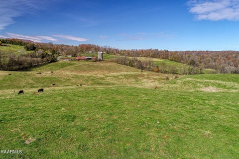 Tiny photo for 311 Ross Cemetery Rd, Rocky Top, TN 37769 (MLS # 1174100)