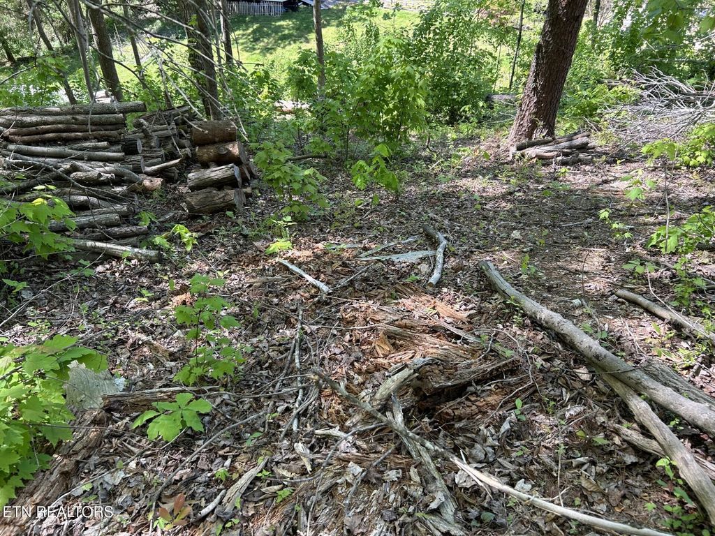 Photo of 329 Island Cove Rd, Rocky Top, TN 37769 (MLS # 1299585)