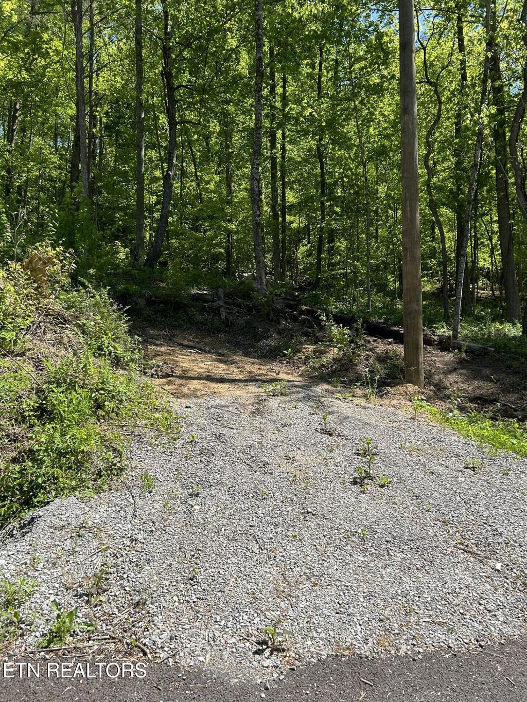 Photo of 329 Island Cove Rd, Rocky Top, TN 37769 (MLS # 1299585)