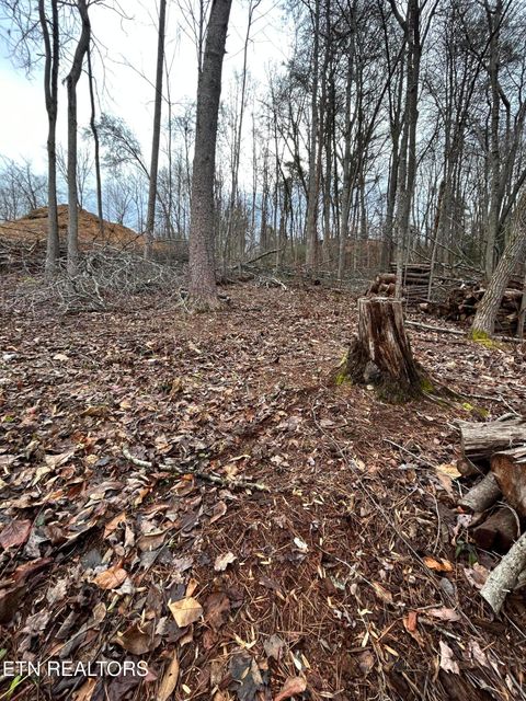 Photo of 329 Island Cove Rd, Rocky Top, TN 37769 (MLS # 1299585)