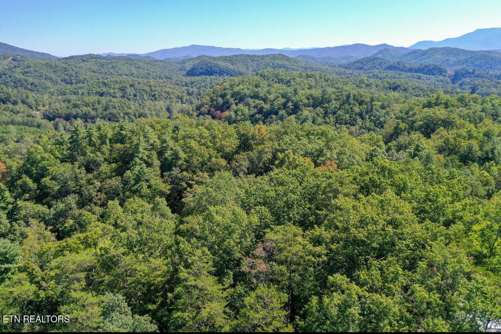Photo of Robert Green Way, Sevierville, TN 37876 (MLS # 1316518)
