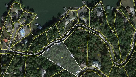 Photo of 228 Black Hawk Drive, Ten Mile, TN 37880 (MLS # 1342329)