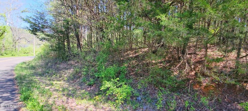 Photo of 110 West Drive, Parrottsville, TN 37843 (MLS # 1298208)