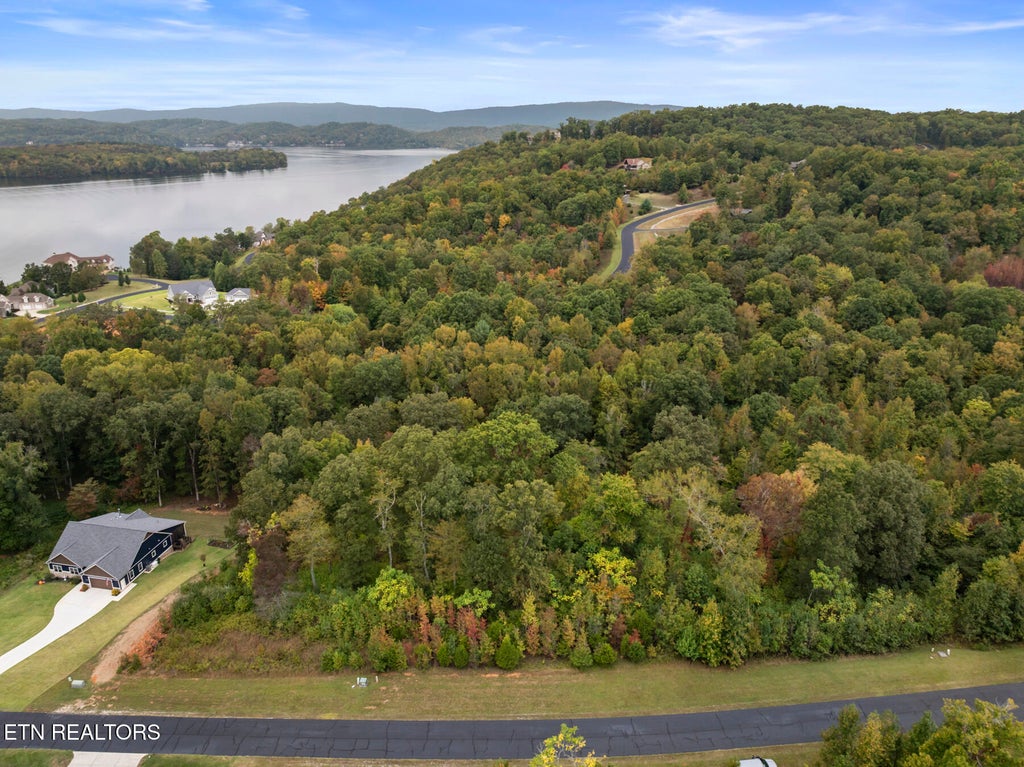 Photo of 0 Water View Drive, Rockwood, TN 37854 (MLS # 1358097)