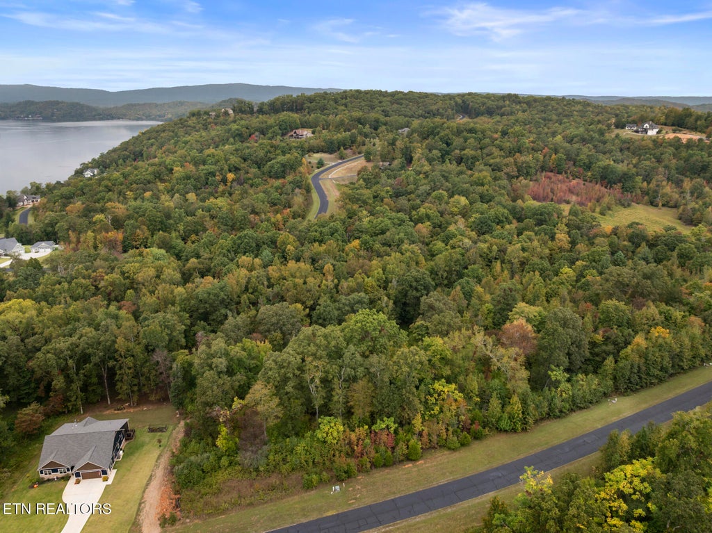 Photo of 0 Water View Drive, Rockwood, TN 37854 (MLS # 1358097)