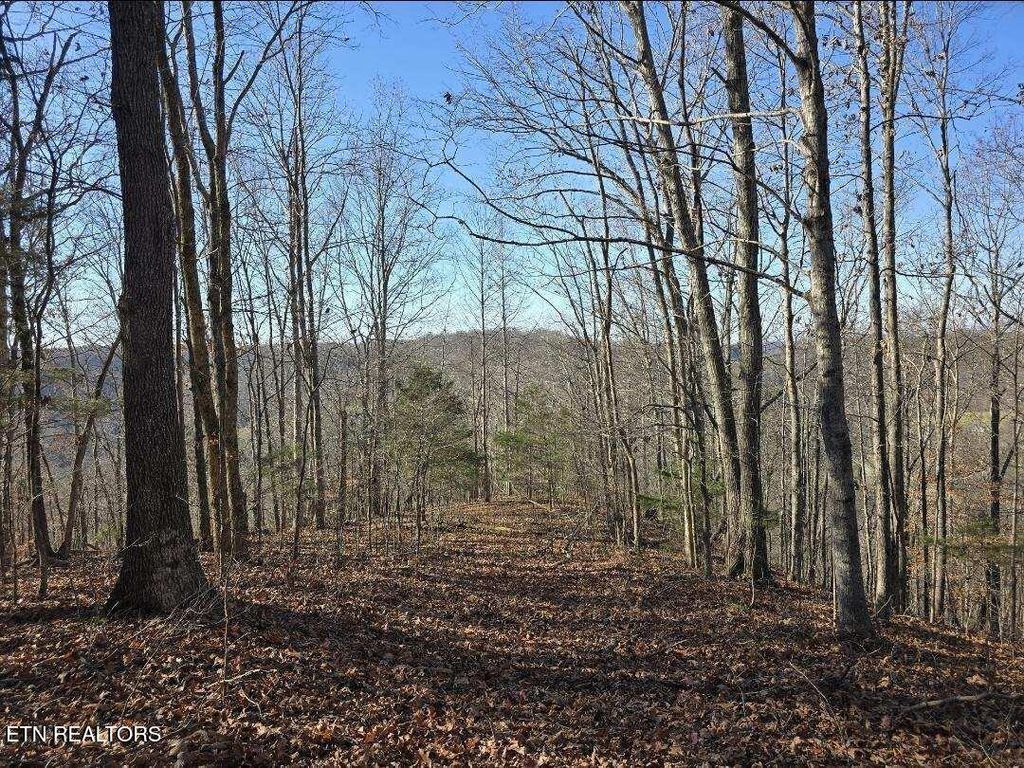 Photo of 0 Maberry Lane, Cookeville, TN 38501 (MLS # 1323576)