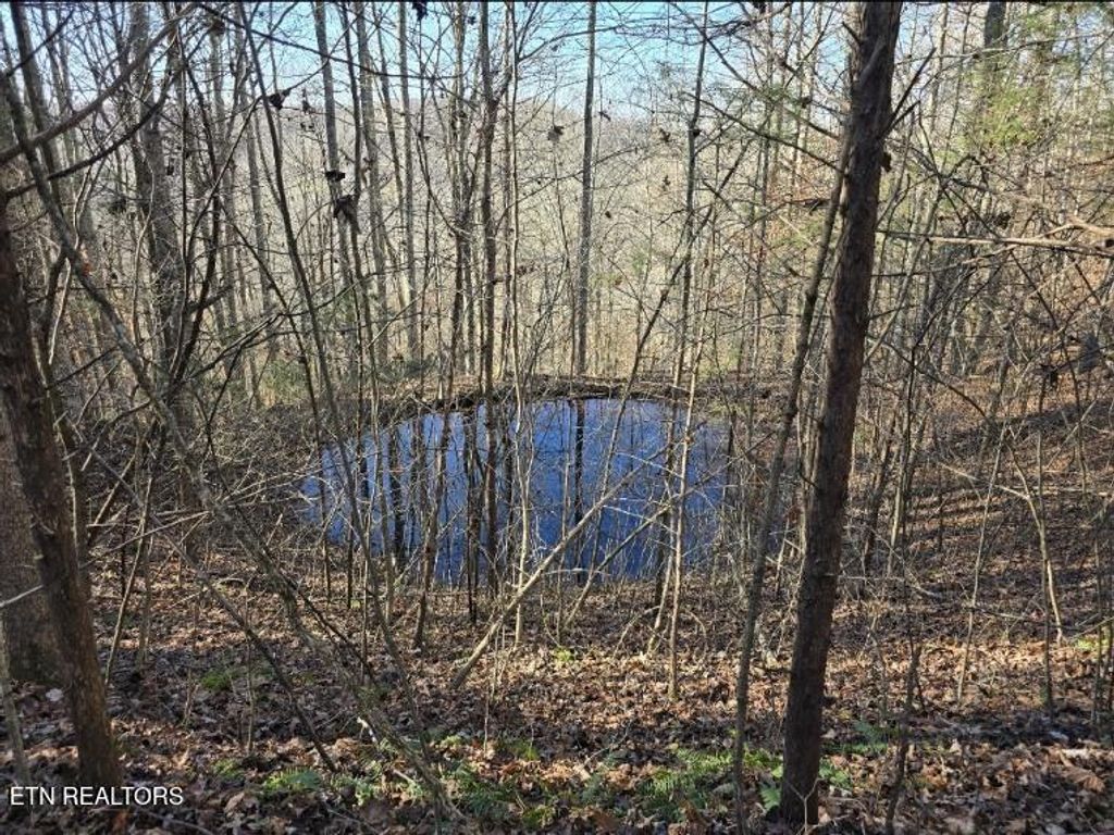 Photo of 0 Maberry Lane, Cookeville, TN 38501 (MLS # 1323576)