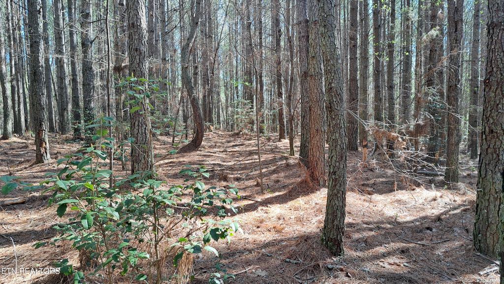 Photo of Airport Rd - Lot 24 (PCA), Rockwood, TN 37854 (MLS # 1299889)