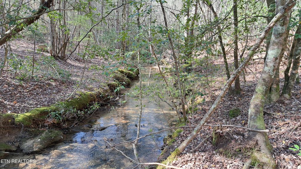 Photo of Airport Rd - Lot 24 (PCA), Rockwood, TN 37854 (MLS # 1299889)