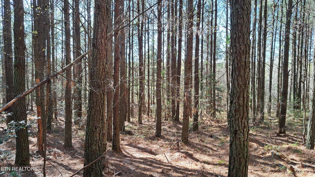 Photo of Airport Rd - Lot 24 (PCA), Rockwood, TN 37854 (MLS # 1299889)