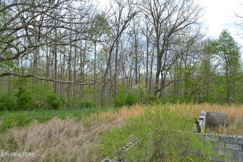 Tiny photo for N Of Deer Lodge Hwy, Deer Lodge, TN 37726 (MLS # 1336760)