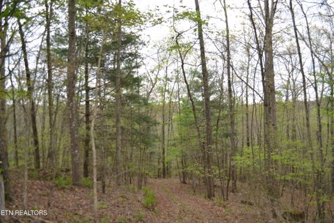 Tiny photo for N Of Deer Lodge Hwy, Deer Lodge, TN 37726 (MLS # 1336760)