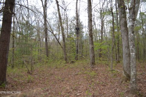 Tiny photo for N Of Deer Lodge Hwy, Deer Lodge, TN 37726 (MLS # 1336760)