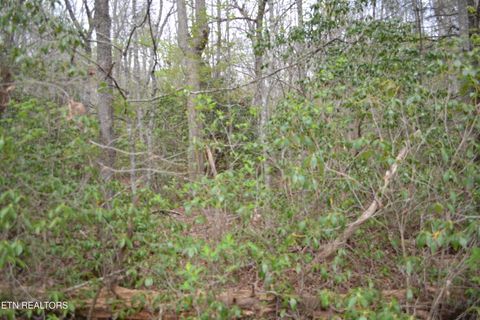 Tiny photo for N Of Deer Lodge Hwy, Deer Lodge, TN 37726 (MLS # 1336760)