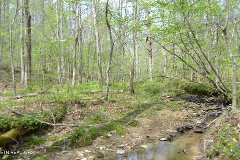 Tiny photo for N Of Deer Lodge Hwy, Deer Lodge, TN 37726 (MLS # 1336760)