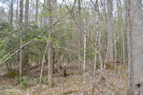 Tiny photo for N Of Deer Lodge Hwy, Deer Lodge, TN 37726 (MLS # 1336760)